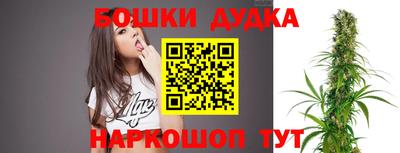 стафф Заволжье