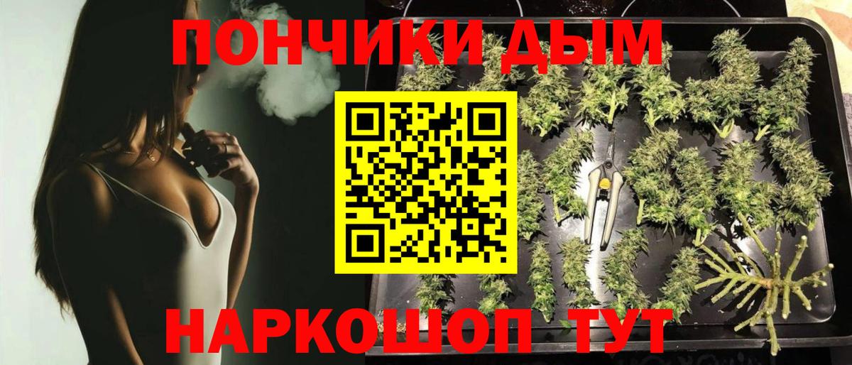 Бошки Шишки семена Лысьва